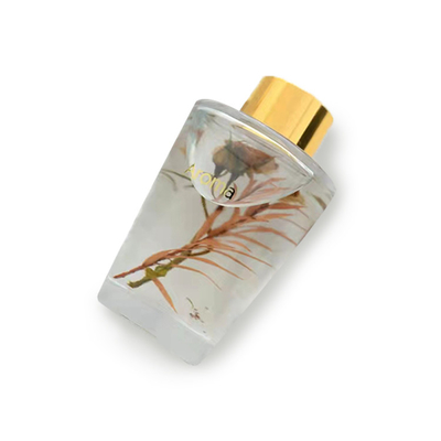 แอมเบอร์ Patchouli Glass Reed Diffuser Mini Reed Diffuser สำหรับห้องน้ำ